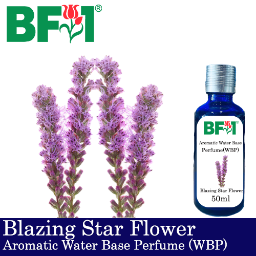 Aromatic Water Base Perfume (WBP) - Blazing Star Flower - 50ml Diffuser Perfume