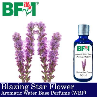 Aromatic Water Base Perfume (WBP) - Blazing Star Flower - 50ml Diffuser Perfume