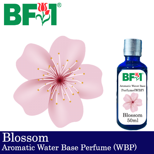 Aromatic Water Base Perfume (WBP) - Blossom - 50ml Diffuser Perfume