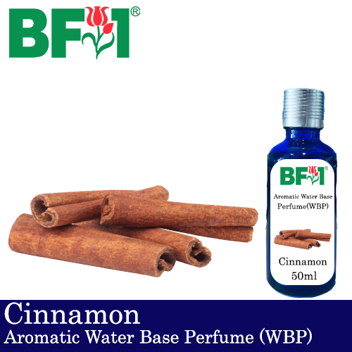 Aromatic Water Base Perfume (WBP) - Cinnamon - 50ml Diffuser Perfume