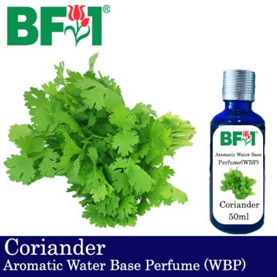 Aromatic Water Base Perfume (WBP) - Coriander - 50ml Diffuser Perfume
