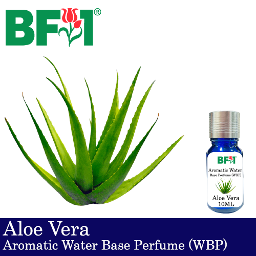 Aromatic Water Base Perfume (WBP) - Aloe Vera - 10ml Diffuser Perfume