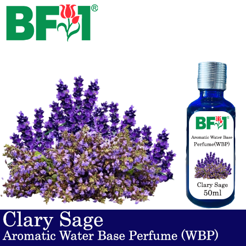 Aromatic Water Base Perfume (WBP) - Clary Sage - 50ml Diffuser Perfume