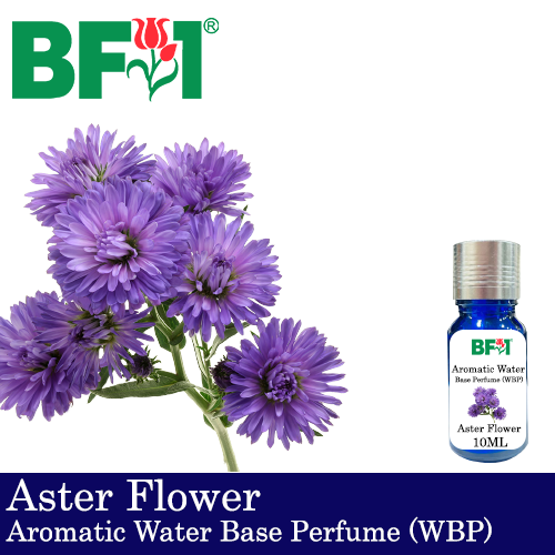 Aromatic Water Base Perfume (WBP) - Aster Flower - 10ml Diffuser Perfume