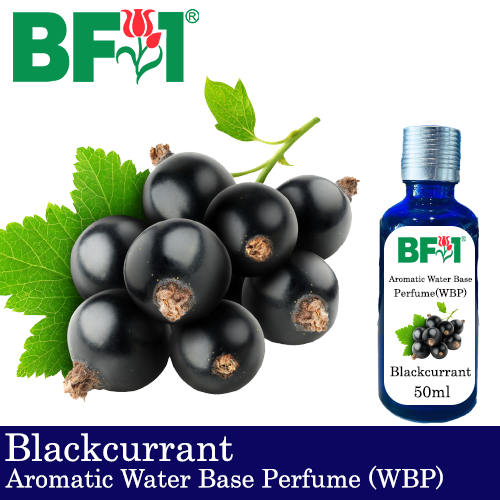 Aromatic Water Base Perfume (WBP) - Blackcurrant - 50ml Diffuser Perfume