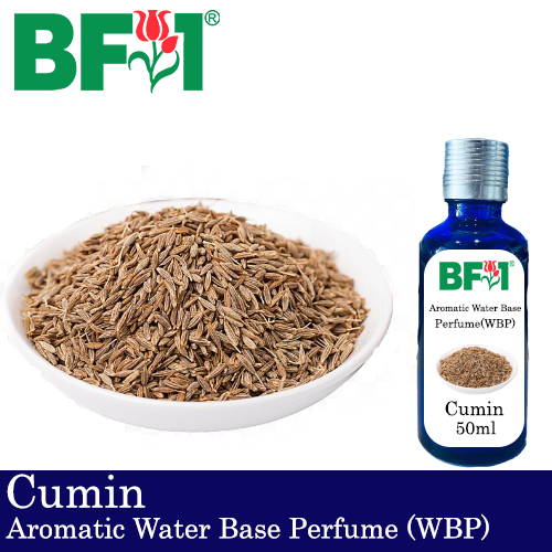 Aromatic Water Base Perfume (WBP) - Cumin - 50ml Diffuser Perfume