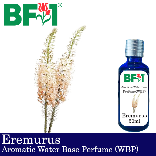 Aromatic Water Base Perfume (WBP) - Eremurus - 50ml Diffuser Perfume