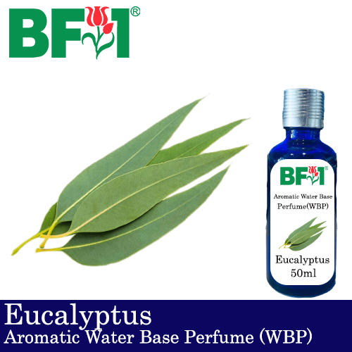 Aromatic Water Base Perfume (WBP) - Eucalyptus - 50ml Diffuser Perfume