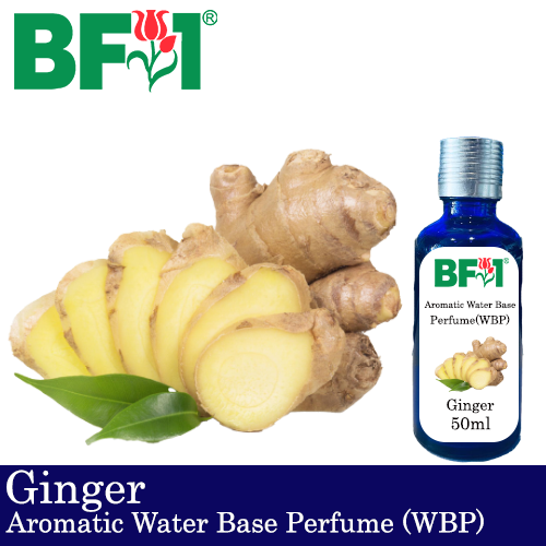Aromatic Water Base Perfume (WBP) - Ginger - 50ml Diffuser Perfume