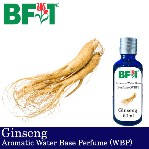Aromatic Water Base Perfume (WBP) - Ginseng - 50ml Diffuser Perfume