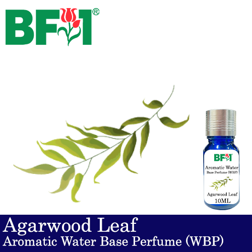 Aromatic Water Base Perfume (WBP) - Agarwood Leaf - 10ml Diffuser Perfume