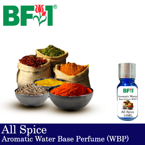 Aromatic Water Base Perfume (WBP) - All Spice - 10ml Diffuser Perfume