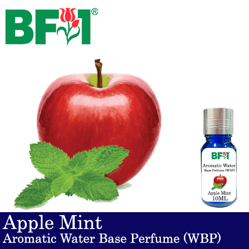 Aromatic Water Base Perfume (WBP) - Apple Mint - 10ml Diffuser Perfume