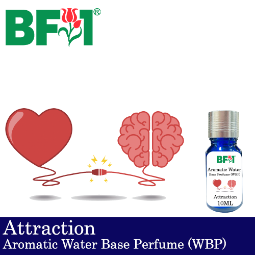 Aromatic Water Base Perfume (WBP) - Attraction - 10ml Diffuser Perfume