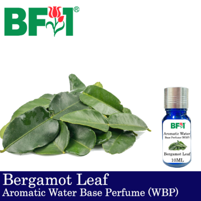 Aromatic Water Base Perfume (WBP) - Bergamot Leaf - 10ml Diffuser Perfume