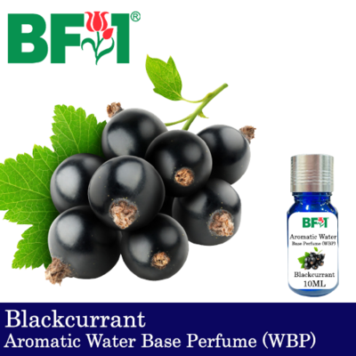 Aromatic Water Base Perfume (WBP) - Blackcurrant - 10ml Diffuser Perfume