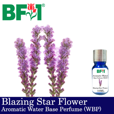 Aromatic Water Base Perfume (WBP) - Blazing Star Flower - 10ml Diffuser Perfume