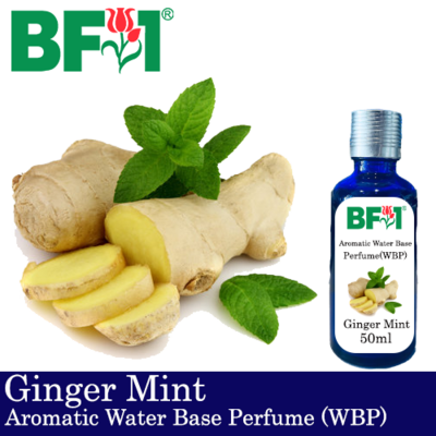 Aromatic Water Base Perfume (WBP) - Ginger Mint - 50ml Diffuser Perfume
