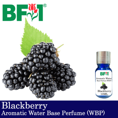 Aromatic Water Base Perfume (WBP) - Blackberry - 10ml Diffuser Perfume
