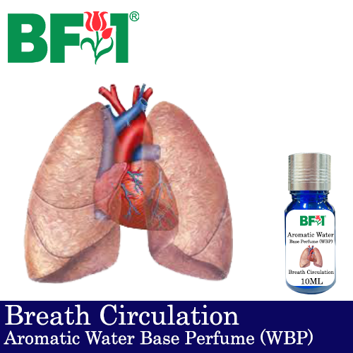 Aromatic Water Base Perfume (WBP) - Breath Circulation - 10ml Diffuser Perfume