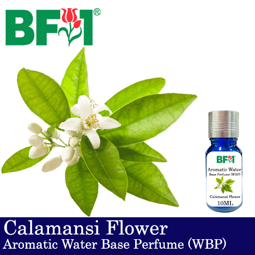 Aromatic Water Base Perfume (WBP) - Calamansi Flower - 10ml Diffuser Perfume