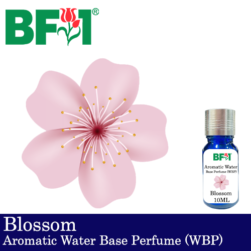 Aromatic Water Base Perfume (WBP) - Blossom - 10ml Diffuser Perfume