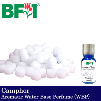 Aromatic Water Base Perfume (WBP) - Camphor - 10ml Diffuser Perfume