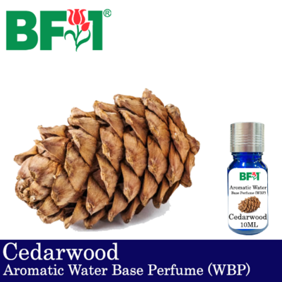 Aromatic Water Base Perfume (WBP) - Cedarwood - 10ml Diffuser Perfume