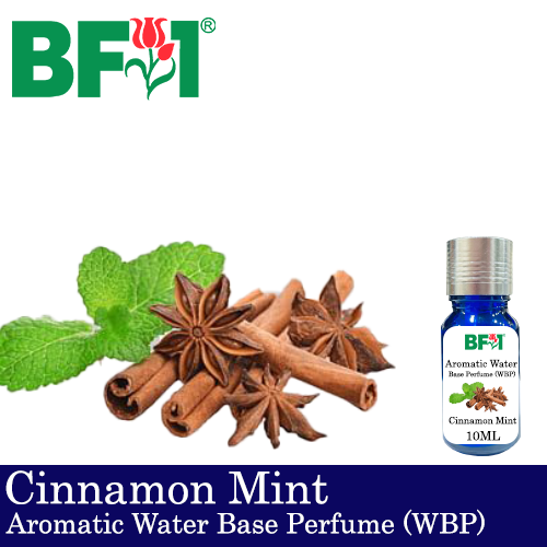 Aromatic Water Base Perfume (WBP) - Cinnamon Mint - 10ml Diffuser Perfume