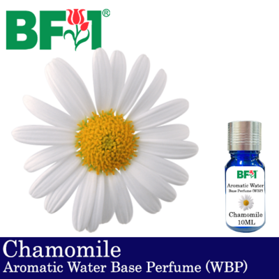 Aromatic Water Base Perfume (WBP) - Chamomile - 10ml Diffuser Perfume