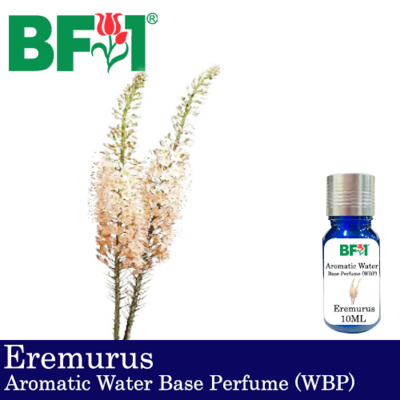 Aromatic Water Base Perfume (WBP) - Eremurus - 10ml Diffuser Perfume