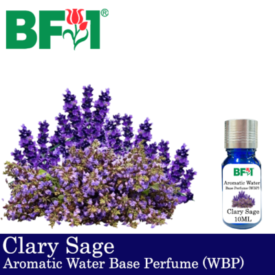 Aromatic Water Base Perfume (WBP) - Clary Sage - 10ml Diffuser Perfume