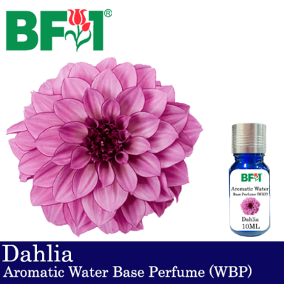 Aromatic Water Base Perfume (WBP) - Dahlia - 10ml Diffuser Perfume
