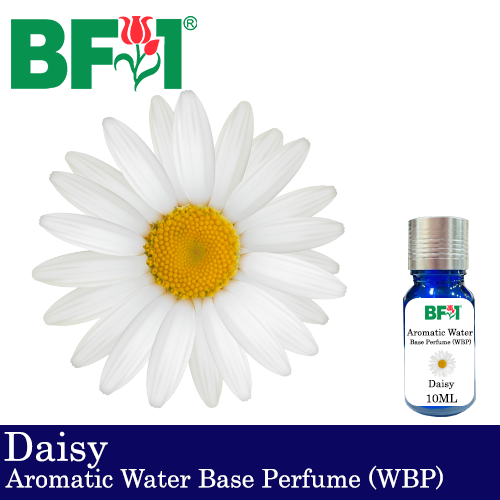 Aromatic Water Base Perfume (WBP) - Daisy - 10ml Diffuser Perfume