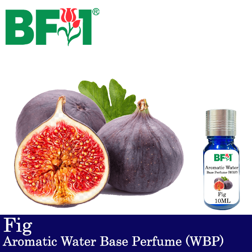 Aromatic Water Base Perfume (WBP) - Fig - 10ml Diffuser Perfume