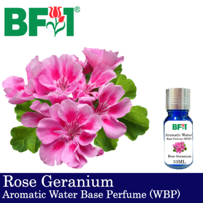Aromatic Water Base Perfume (WBP) - Geranium - 10ml Diffuser Perfume