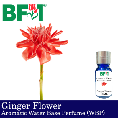 Aromatic Water Base Perfume (WBP) - Ginger Flower - 10ml Diffuser Perfume