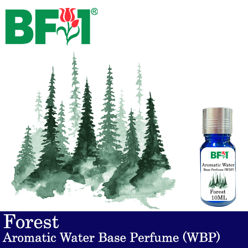 Aromatic Water Base Perfume (WBP) - Forest - 10ml Diffuser Perfume