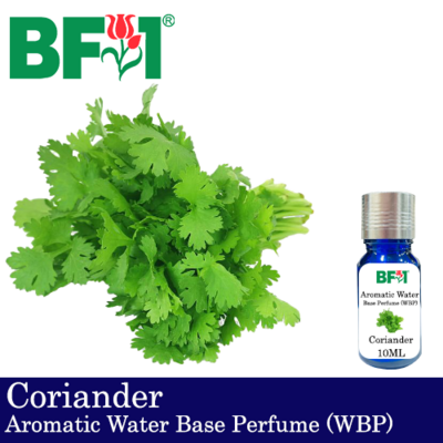 Aromatic Water Base Perfume (WBP) - Coriander - 10ml Diffuser Perfume