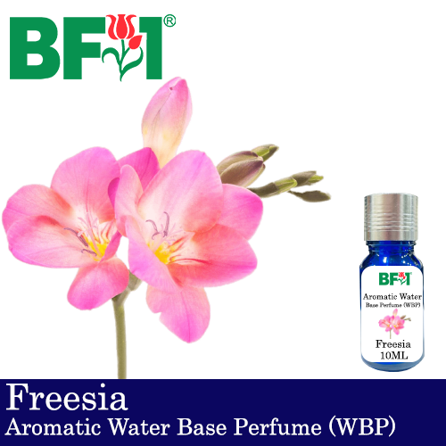 Aromatic Water Base Perfume (WBP) - Freesia - 10ml Diffuser Perfume
