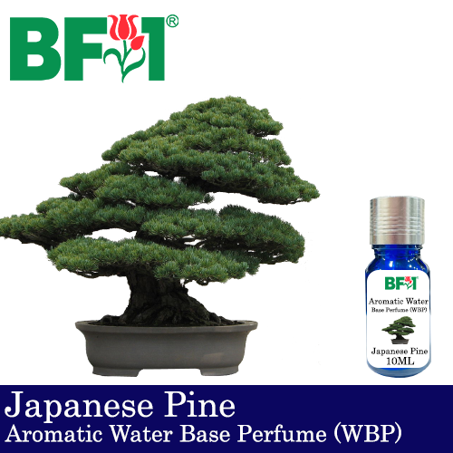 Aromatic Water Base Perfume (WBP) - Japanese Pine- 10ml Diffuser Perfume