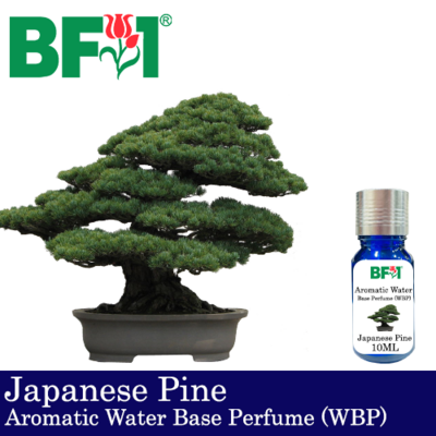Aromatic Water Base Perfume (WBP) - Japanese Pine- 10ml Diffuser Perfume