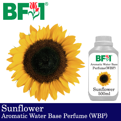 Aromatic Water Base Perfume (WBP) - Sunflower - 500ml Diffuser Perfume