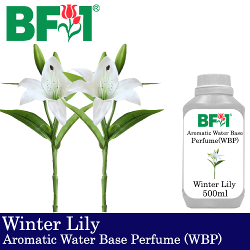 Aromatic Water Base Perfume (WBP) - Winter Lily - 500ml Diffuser Perfume