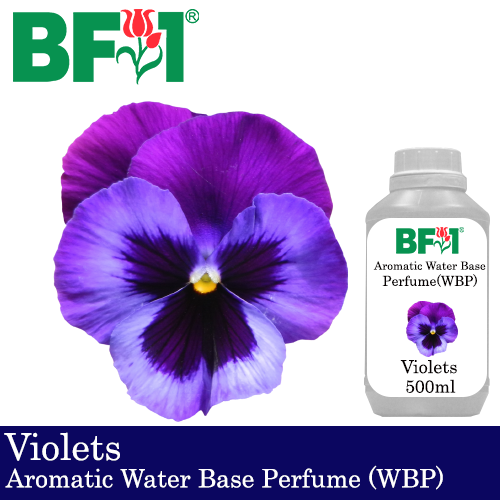 Aromatic Water Base Perfume (WBP) - Violets - 500ml Diffuser Perfume