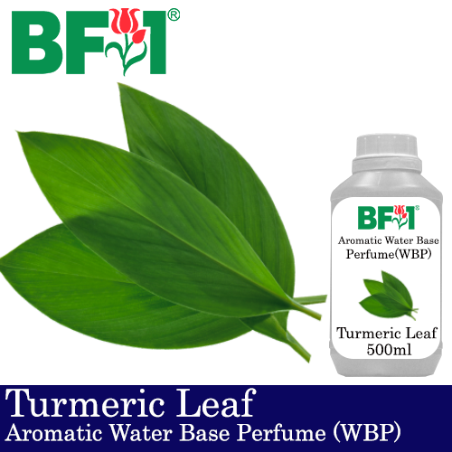 Aromatic Water Base Perfume (WBP) - Turmeric Leaf - 500ml Diffuser Perfume