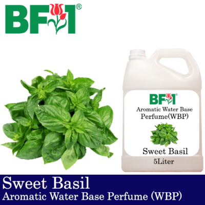Aromatic Water Base Perfume (WBP) - Sweet Basil - 5L Diffuser Perfume