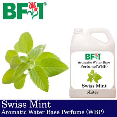 Aromatic Water Base Perfume (WBP) - Swiss Mint - 5L Diffuser Perfume