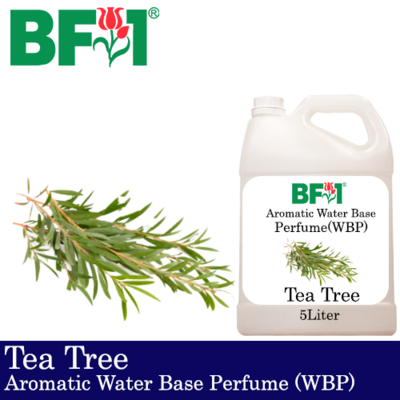 Aromatic Water Base Perfume (WBP) - Tea Tree - 5L Diffuser Perfume