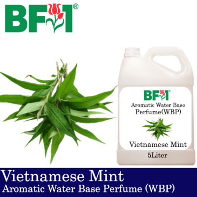 Aromatic Water Base Perfume (WBP) - Vietnamese Mint - 5L Diffuser Perfume